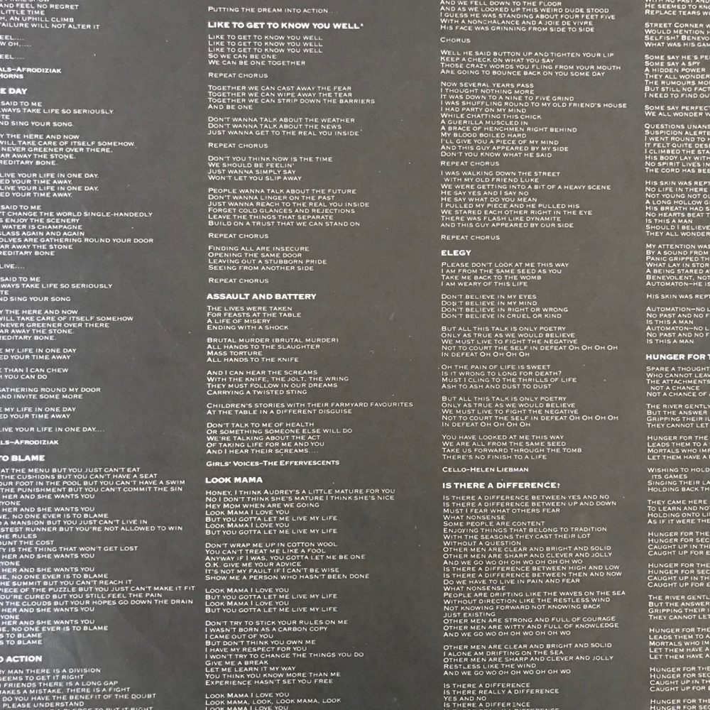 Vinyl LP 🎼🌼 - Picture 4 of 4